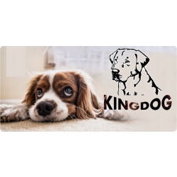 Legowisko dla psa kojec KINGDOG 115x95 cm personalizowane wodoodporne zielone